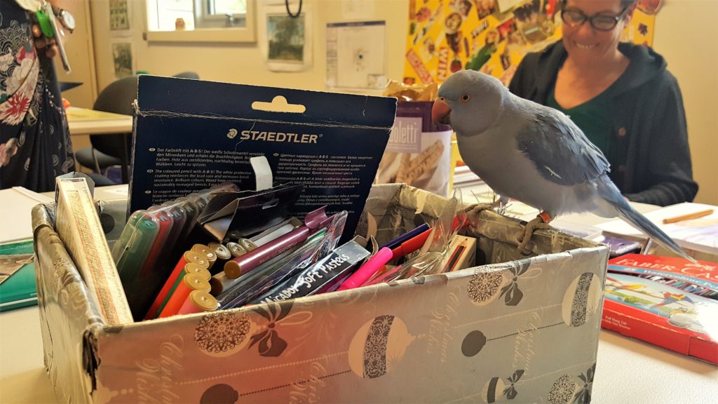 A parrot sits on a box of art supplies