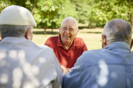Three older men older men sitting in a garden talking